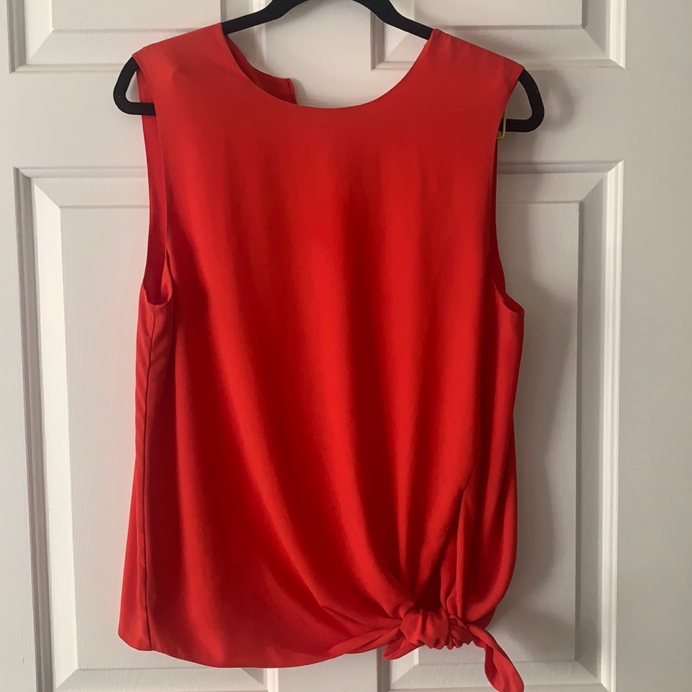 Aritzia Babaton Top